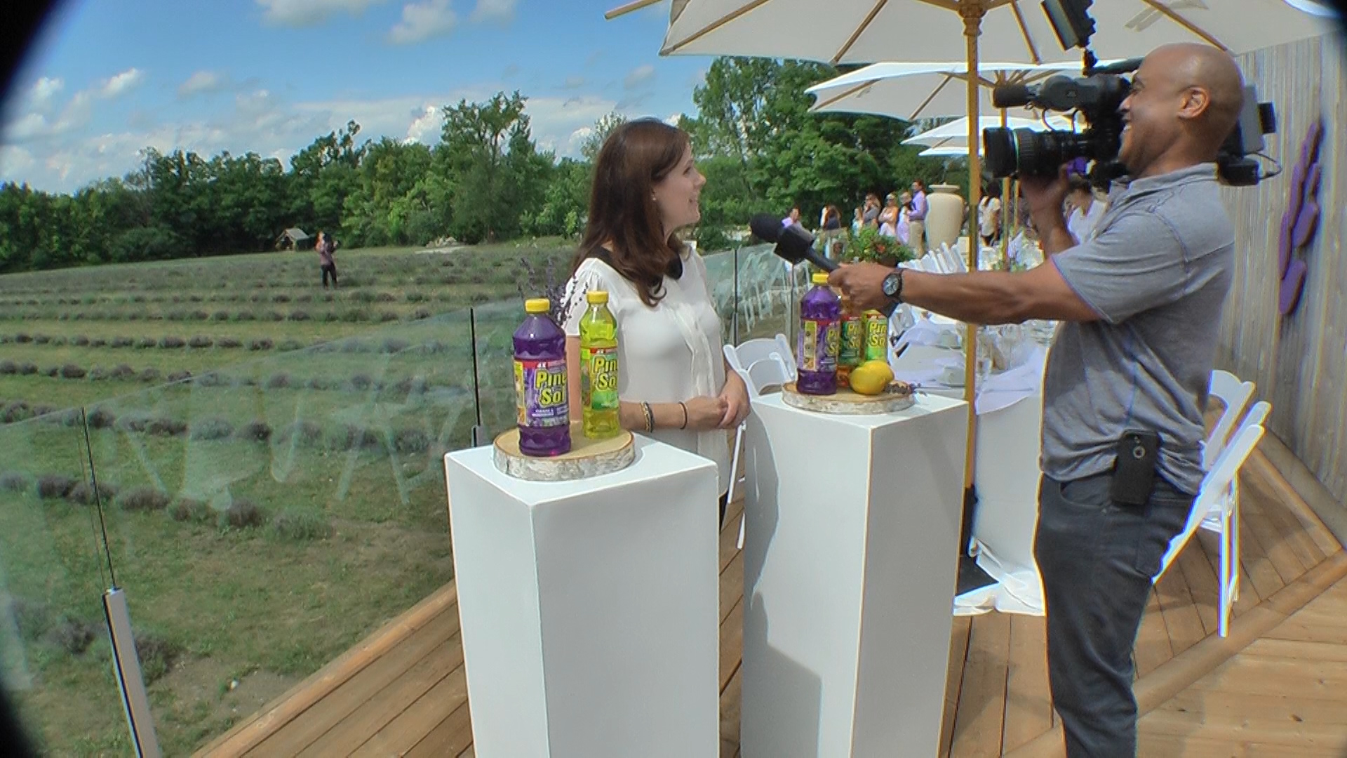 Pine Sol Lavender - A scent worth discovering